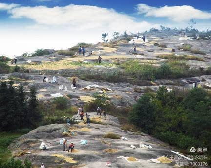 4a2a96081c5aa86e130eef6a5941c165-1