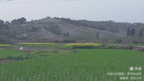 f2bcf0e379be8260cd3b1ce97ec0a5ca-2